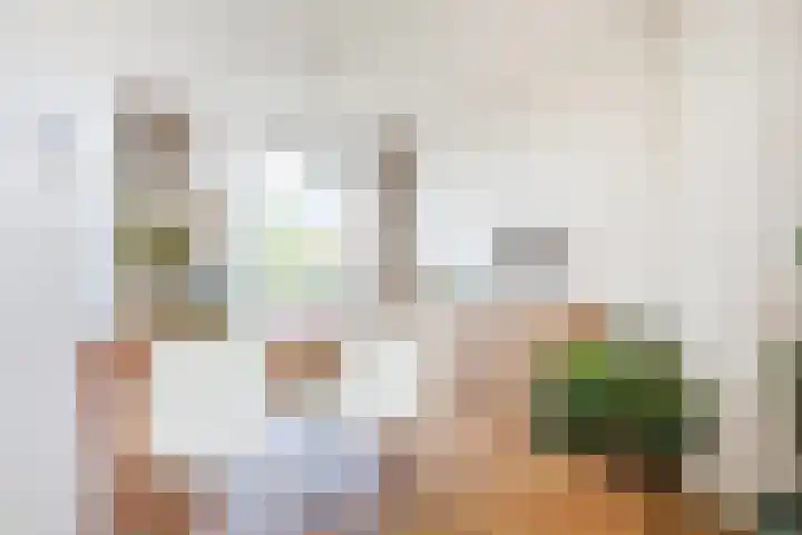 Zwanenvechtlaan 152 Utrecht thumbnail 12