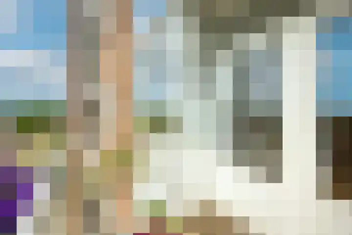 Zwanenvechtlaan 152 Utrecht thumbnail 15