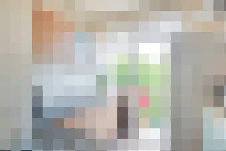 Zwanenvechtlaan 152 Utrecht thumbnail 16