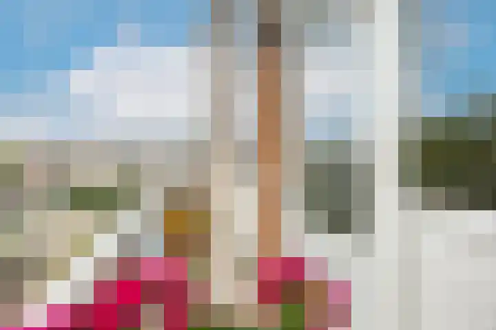 Zwanenvechtlaan 152 Utrecht thumbnail 22