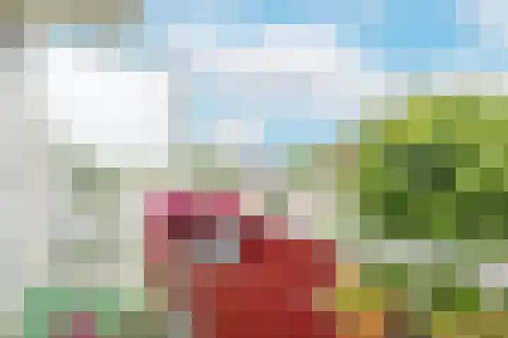 Zwanenvechtlaan 152 Utrecht thumbnail 23