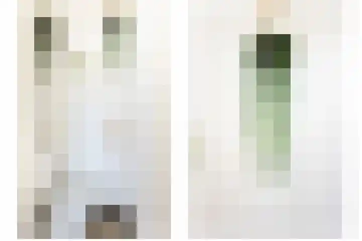 Zwanenvechtlaan 152 Utrecht thumbnail 27