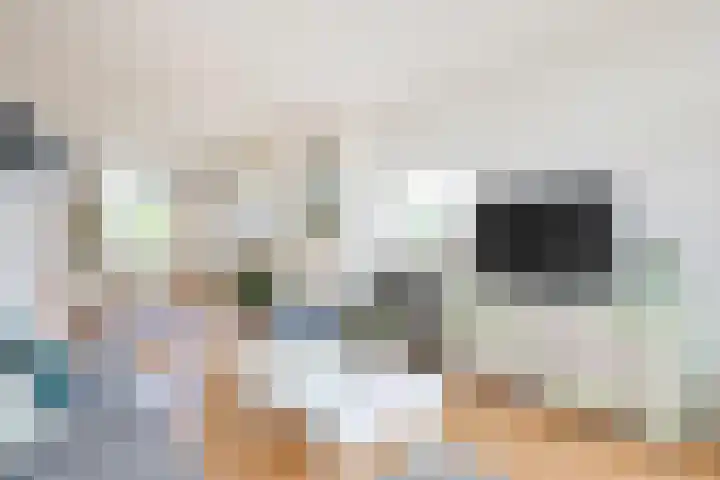 Zwanenvechtlaan 152 Utrecht thumbnail 7