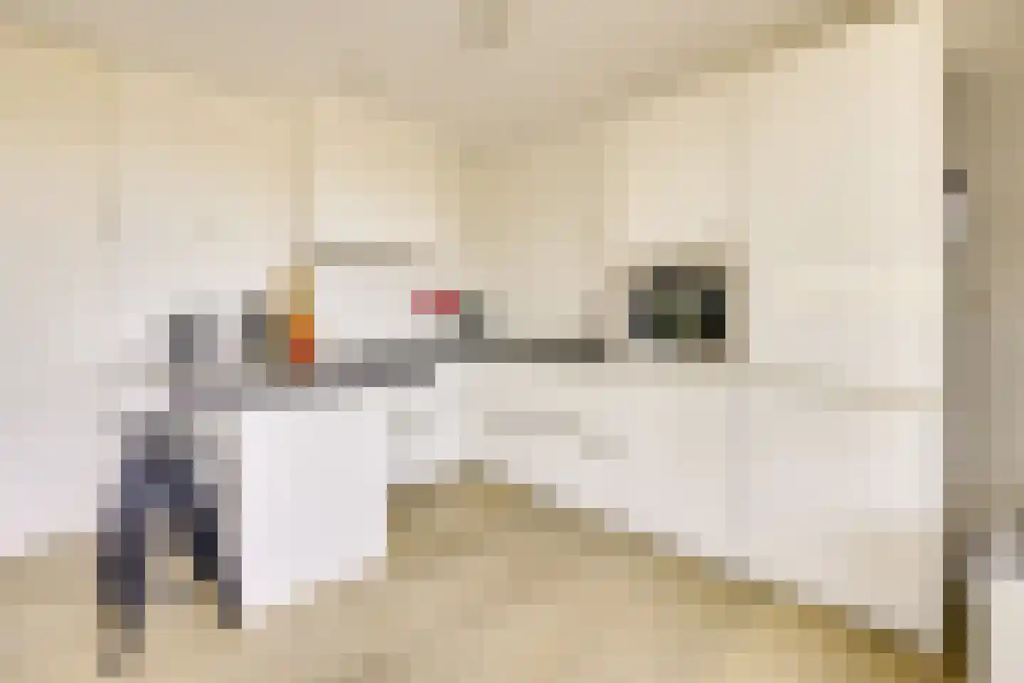 Zwanenvechtlaan 17 Utrecht thumbnail 11