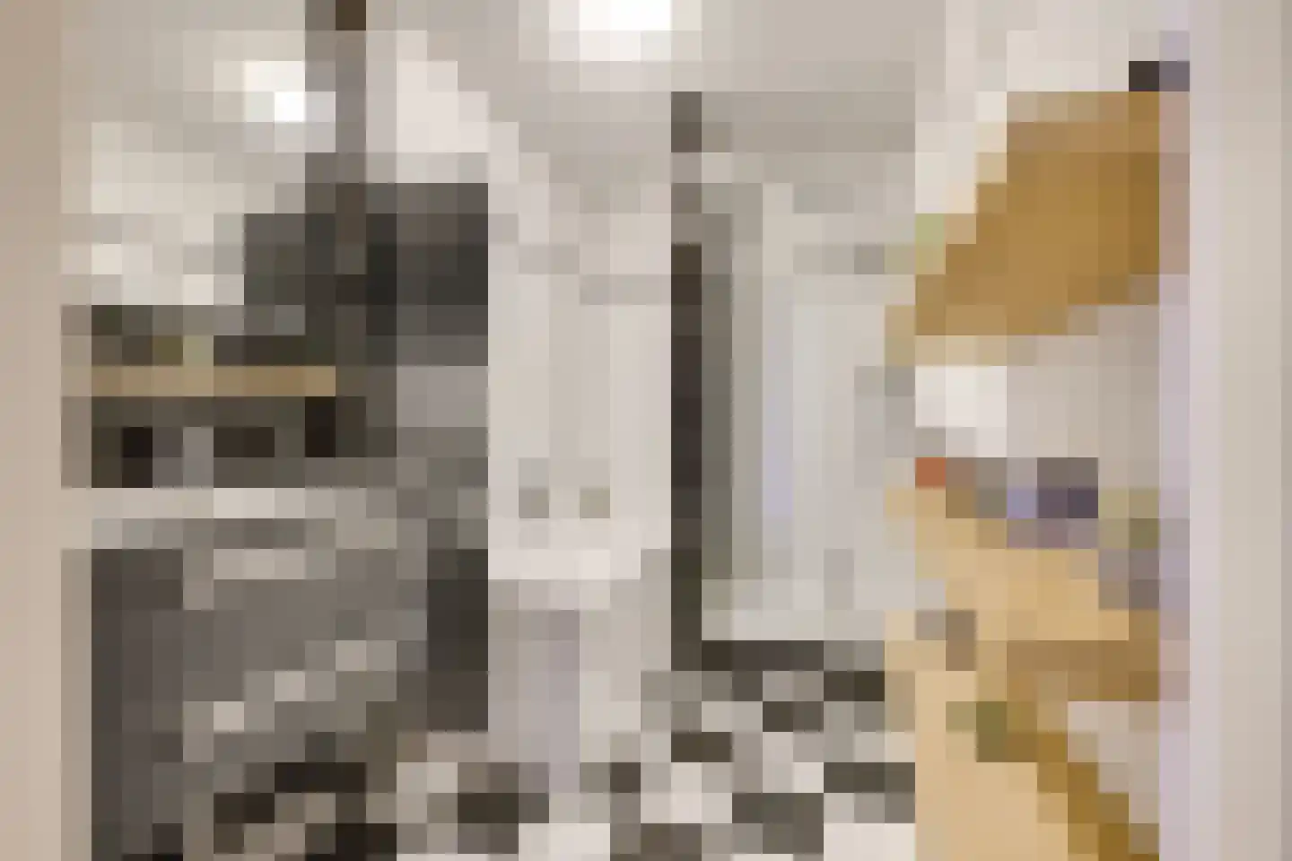 Zwanenvechtlaan 17 Utrecht thumbnail 18