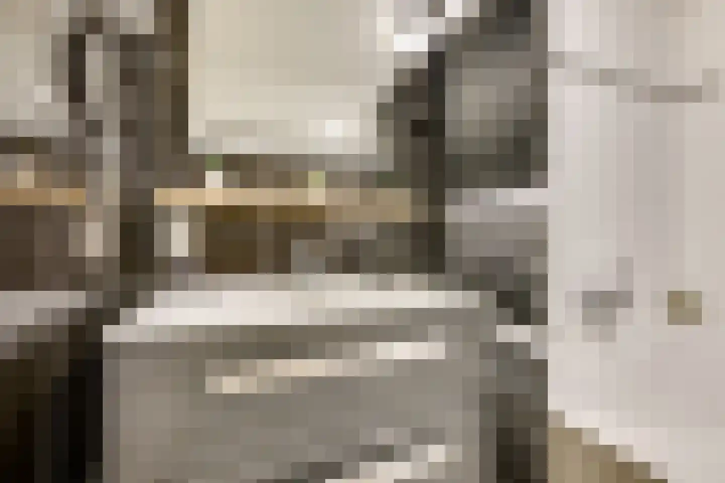 Zwanenvechtlaan 17 Utrecht thumbnail 19