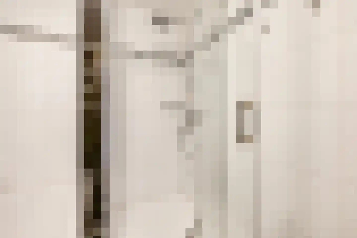 Zwanenvechtlaan 17 Utrecht thumbnail 21