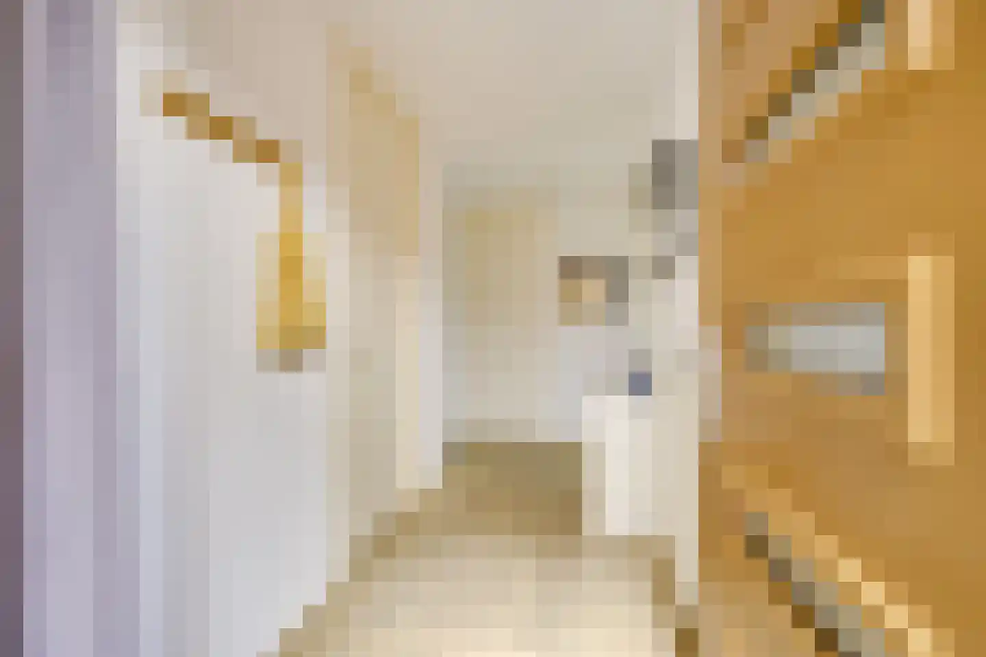 Zwanenvechtlaan 17 Utrecht thumbnail 22