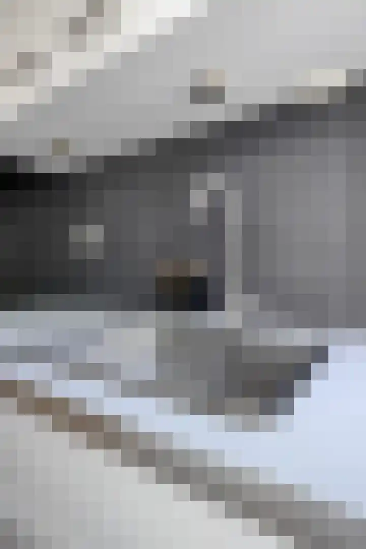 Zwanenvechtlaan 22 Utrecht thumbnail 16