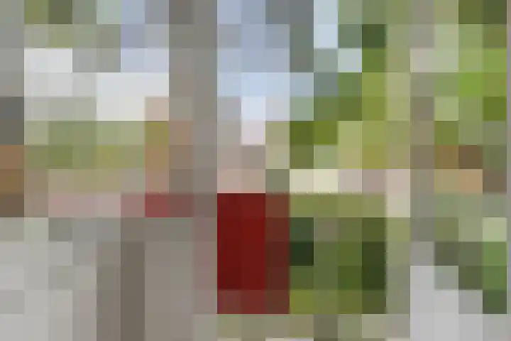 Zwanenvechtlaan 22 Utrecht thumbnail 17