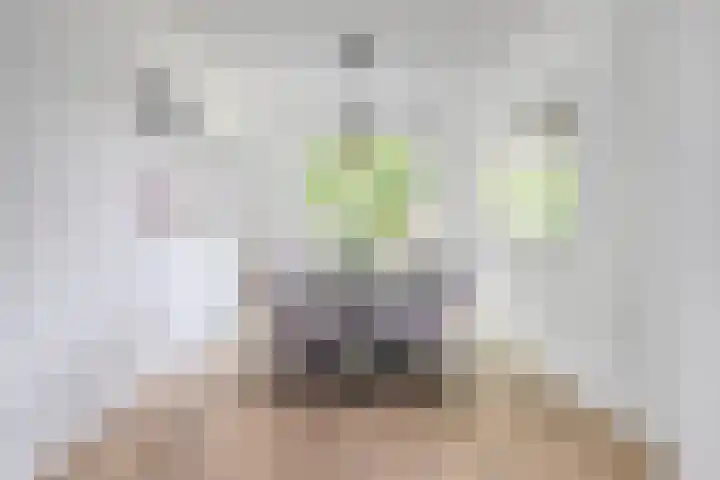 Zwanenvechtlaan 22 Utrecht thumbnail 27