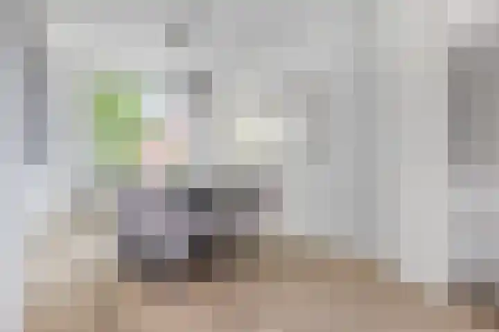 Zwanenvechtlaan 22 Utrecht thumbnail 28
