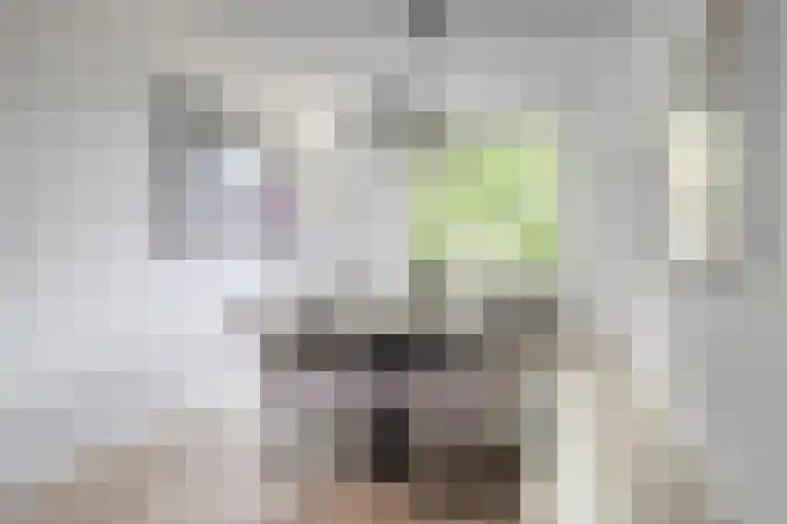 Zwanenvechtlaan 22 Utrecht thumbnail 29