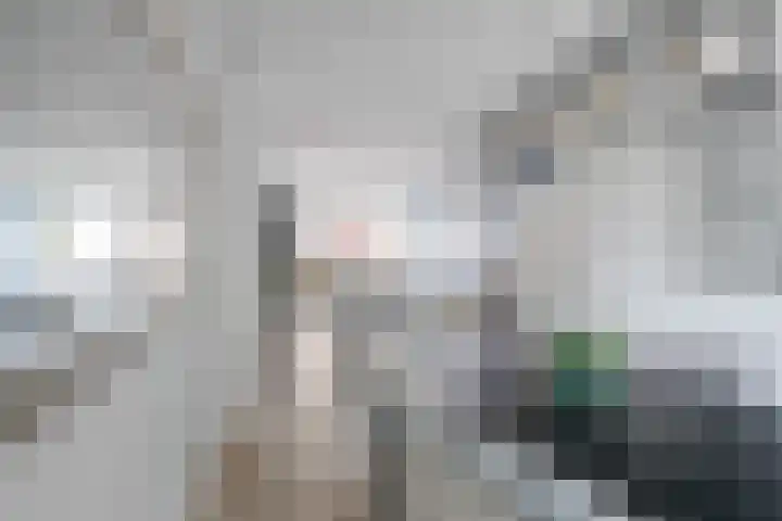 Zwanenvechtlaan 22 Utrecht thumbnail 30