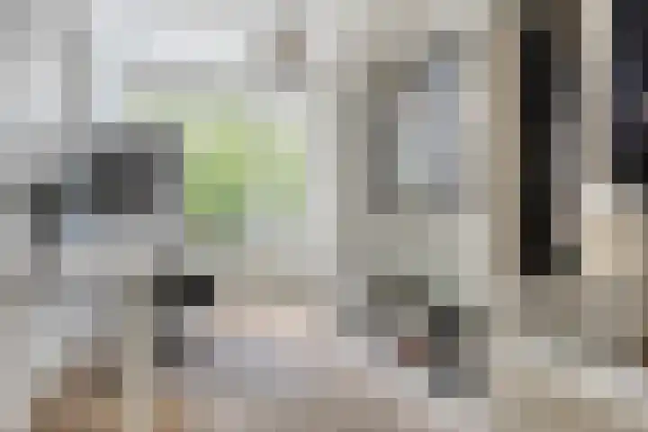 Zwanenvechtlaan 22 Utrecht thumbnail 35