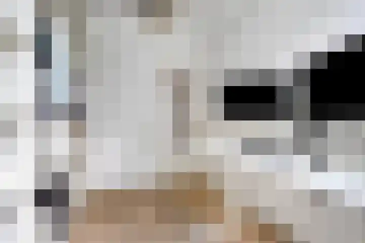 Zwanenvechtlaan 22 Utrecht thumbnail 36