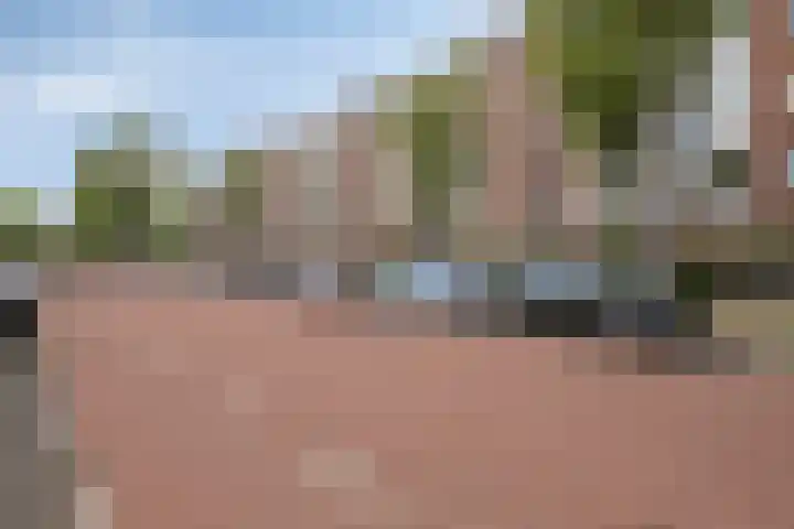 Zwanenvechtlaan 22 Utrecht thumbnail 39