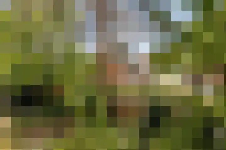 Zwanenvechtlaan 22 Utrecht thumbnail 41