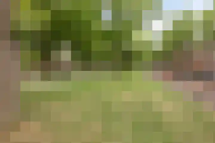 Zwanenvechtlaan 22 Utrecht thumbnail 42