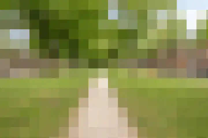 Zwanenvechtlaan 22 Utrecht thumbnail 43