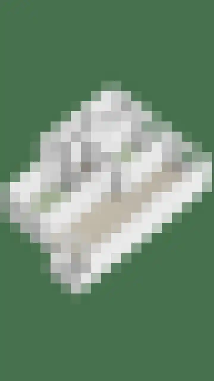 Zwanenvechtlaan 22 Utrecht thumbnail 46