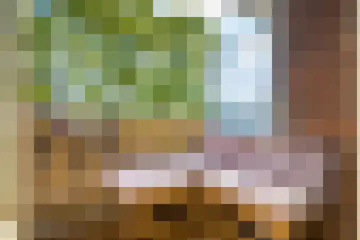 Zwanenvechtlaan 24 Utrecht thumbnail 10