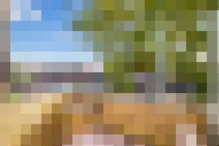 Zwanenvechtlaan 24 Utrecht thumbnail 11