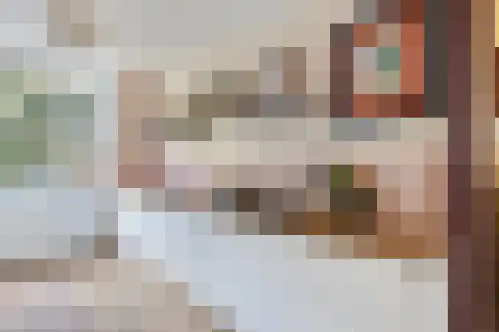 Zwanenvechtlaan 24 Utrecht thumbnail 15