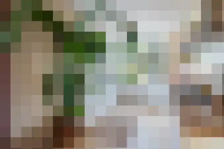 Zwanenvechtlaan 24 Utrecht thumbnail 17