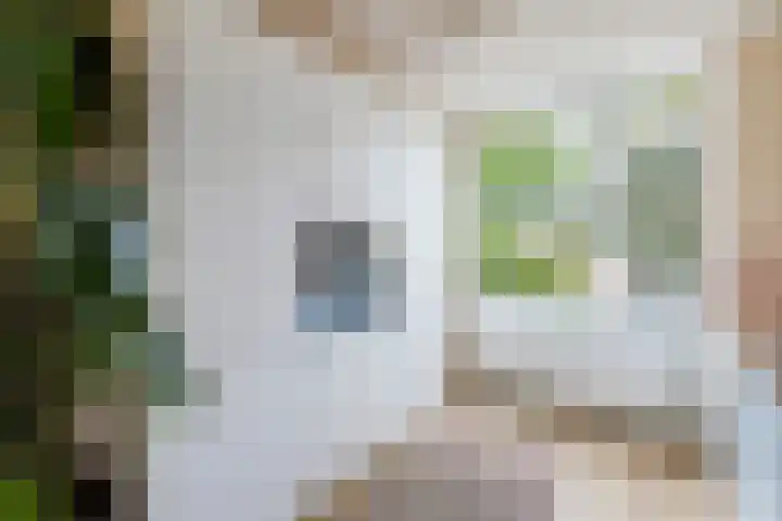 Zwanenvechtlaan 24 Utrecht thumbnail 18