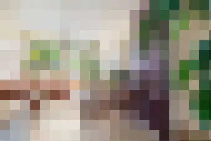 Zwanenvechtlaan 24 Utrecht thumbnail 21