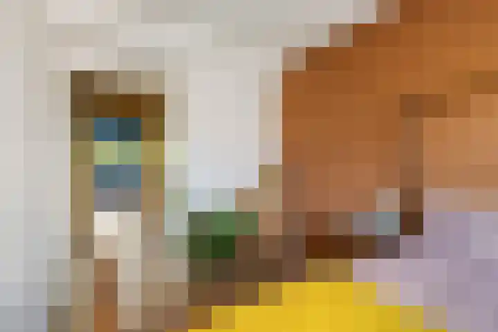 Zwanenvechtlaan 24 Utrecht thumbnail 25