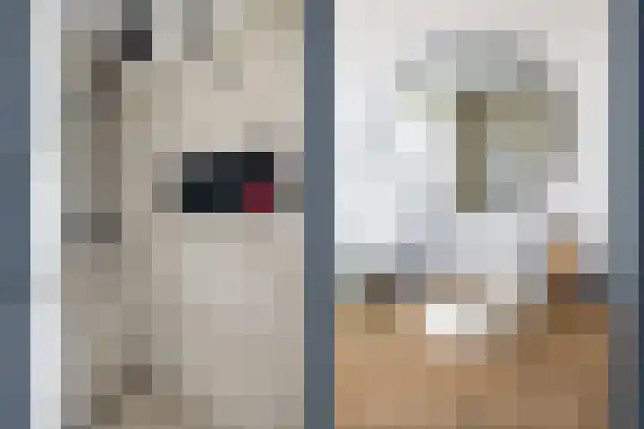Zwanenvechtlaan 24 Utrecht thumbnail 27