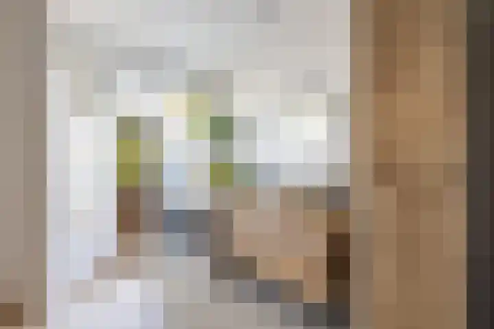 Zwanenvechtlaan 24 Utrecht thumbnail 28