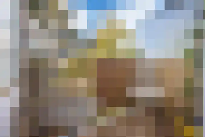 Zwanenvechtlaan 24 Utrecht thumbnail 29