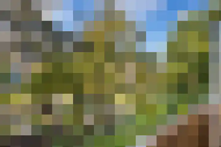 Zwanenvechtlaan 24 Utrecht thumbnail 30