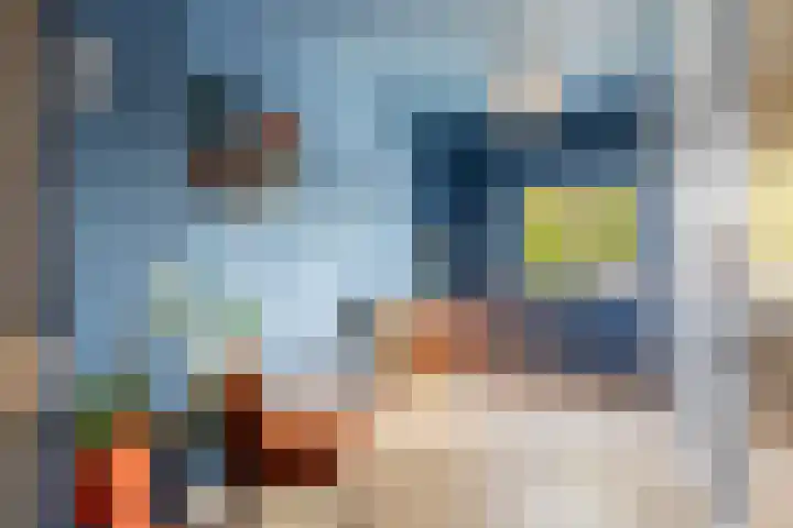 Zwanenvechtlaan 24 Utrecht thumbnail 31