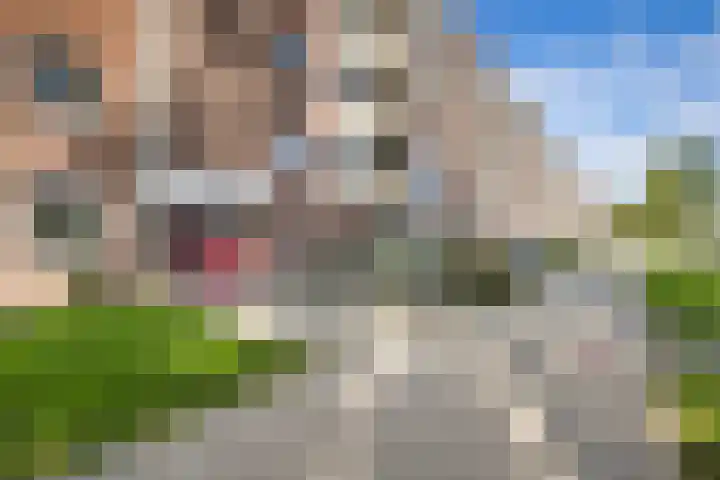 Zwanenvechtlaan 24 Utrecht thumbnail 36