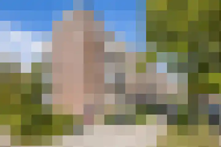 Zwanenvechtlaan 24 Utrecht thumbnail 39