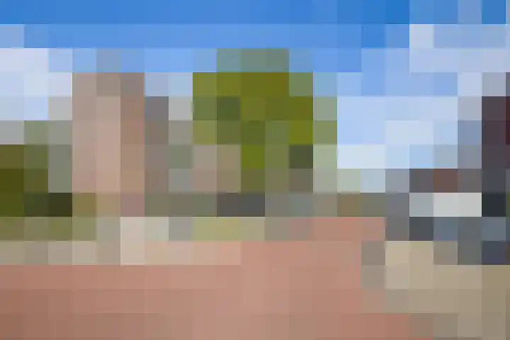 Zwanenvechtlaan 24 Utrecht thumbnail 40