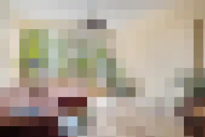 Zwanenvechtlaan 24 Utrecht thumbnail 7