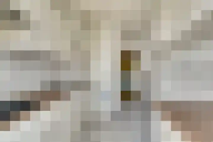 Zwanenvechtlaan 28 Utrecht thumbnail 12