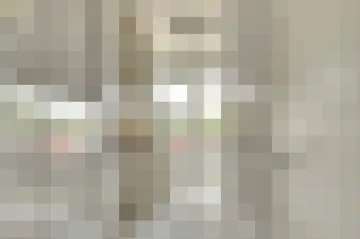 Zwanenvechtlaan 28 Utrecht thumbnail 13