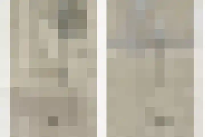 Zwanenvechtlaan 28 Utrecht thumbnail 20