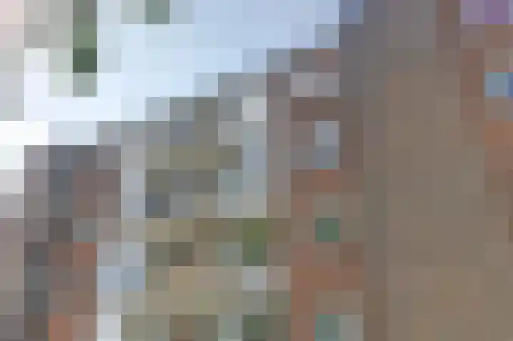 Zwanenvechtlaan 28 Utrecht thumbnail 24