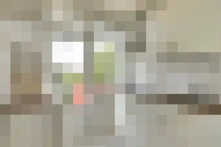 Zwanenvechtlaan 28 Utrecht thumbnail 8