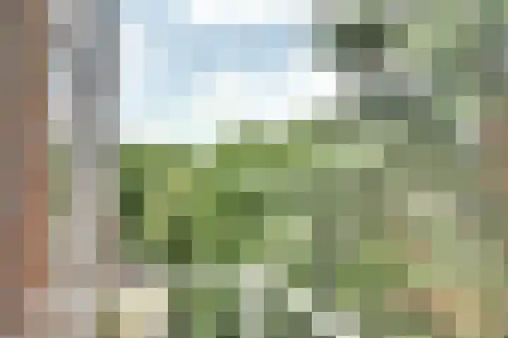 Zwanenvechtlaan 28 Utrecht thumbnail 9