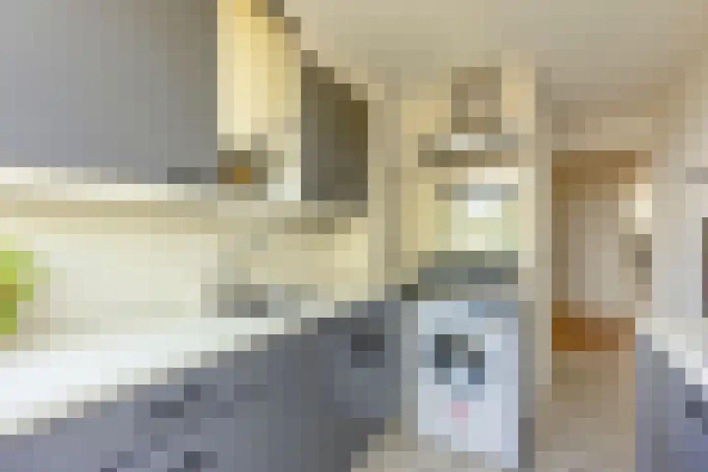 Zwanenvechtlaan 32 Utrecht thumbnail 29