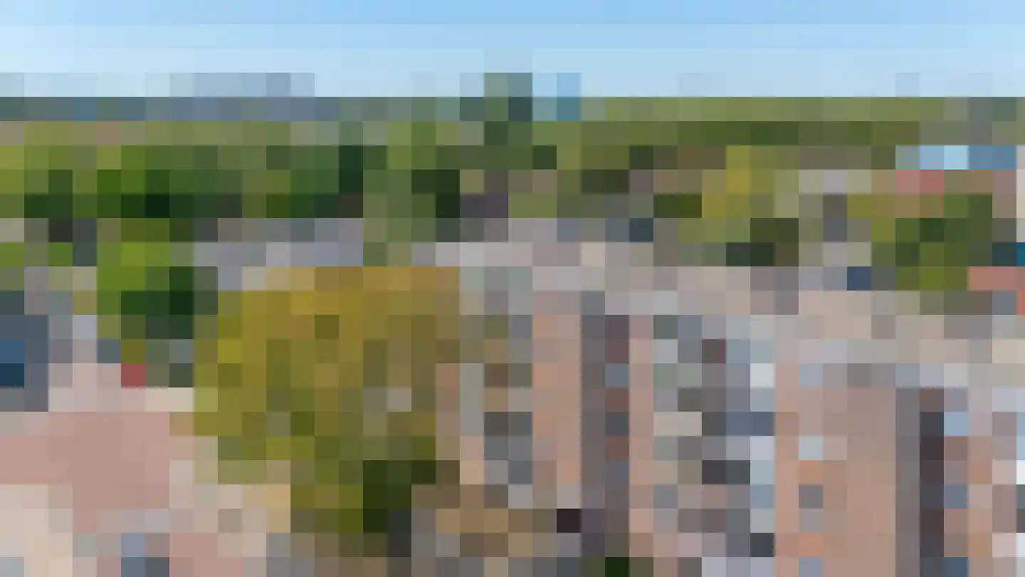 Zwanenvechtlaan 32 Utrecht thumbnail 6