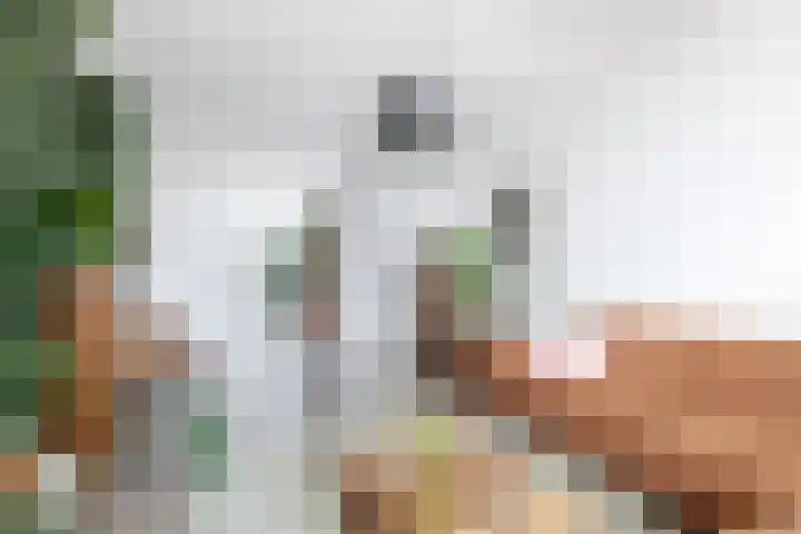 Zwanenvechtlaan 60 Utrecht thumbnail 11